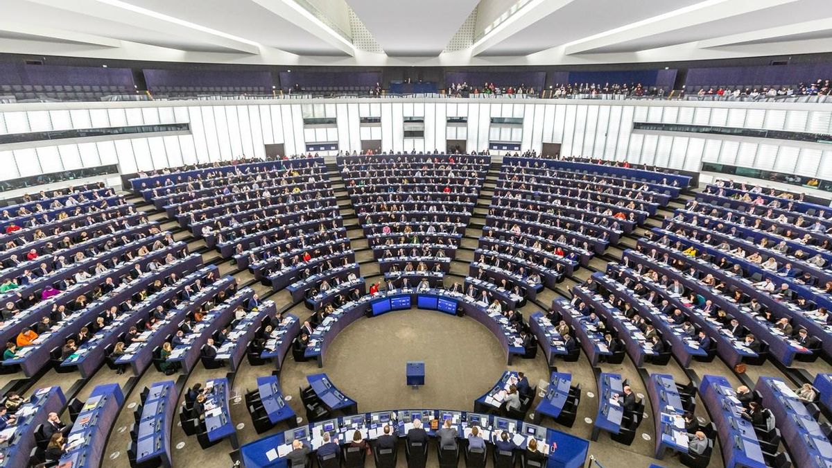 Vox ve "una indignidad" que el PSOE vote en Europa contra una delegación que exija esclarecer crímenes de ETA