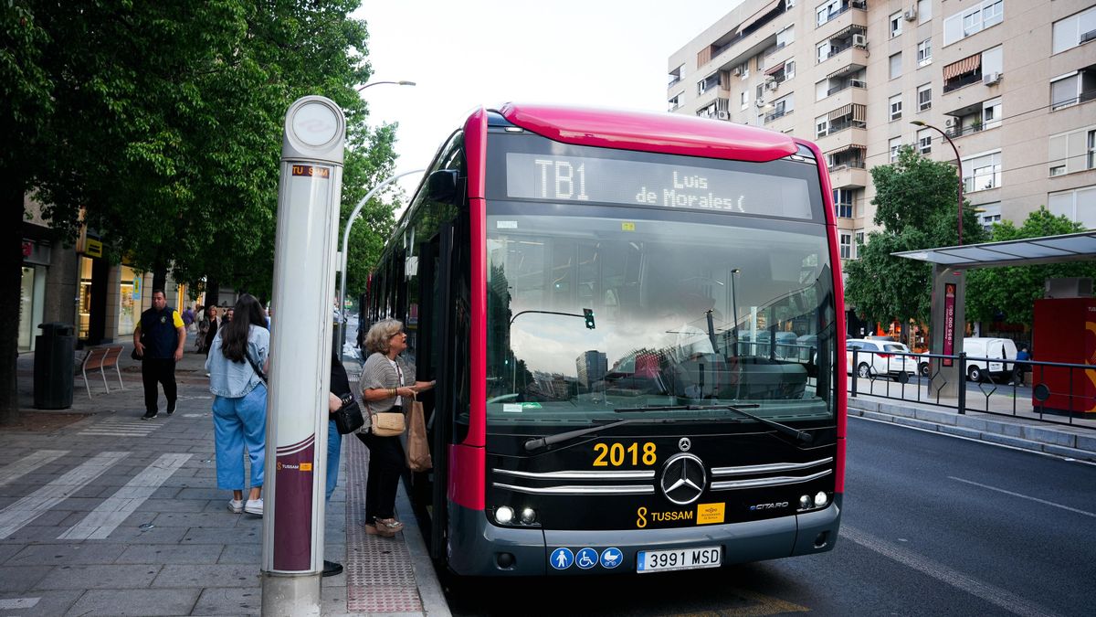 El tranvibús llegará a la Plaza del Duque a partir del 28 de septiembre y obligará a cambios en varias líneas de Tussam