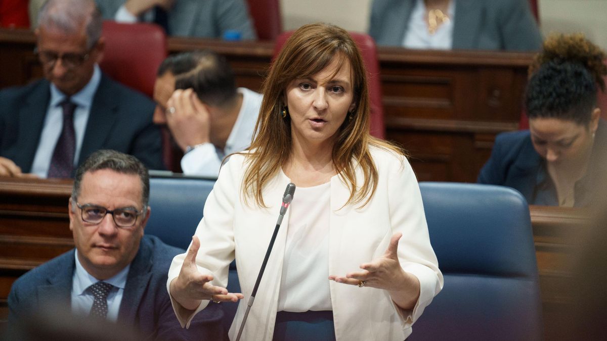 La consejera de Presidencia, Administraciones Públicas, Justicia y Seguridad del Gobierno de Canarias, Nieves Lady Barreto, durante el pleno del Parlamento de Canarias que se celebra este martes. EFE/Ramón de la Rocha