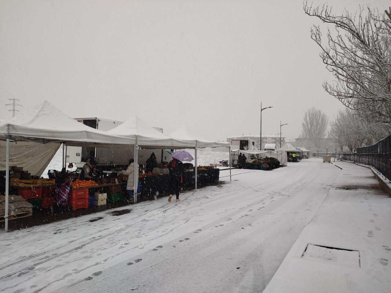 La nieve cuaja en la provincia de León: estampas blancas