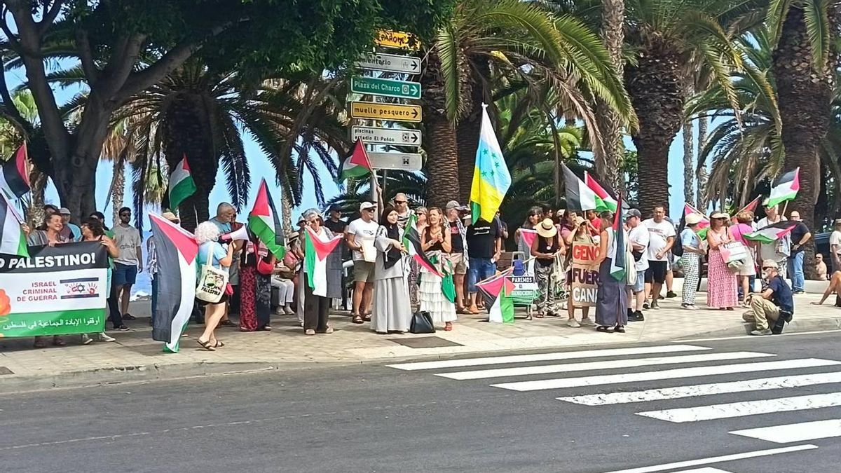 Protesta por la participación de Israel en el mundial júnior de waterpolo femenino en Tenerife. FOTO: Álvaro Morales