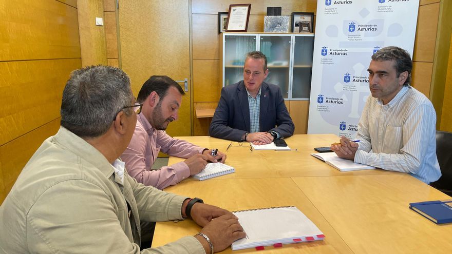 De los tribunales a los despachos: los ganaderos asturianos piden ayuda al Principado en la 'guerra de pastos' con León
