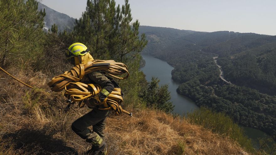 Dos investigados por incendios por imprudencia grave en Folgoso y Monterroso (Lugo)