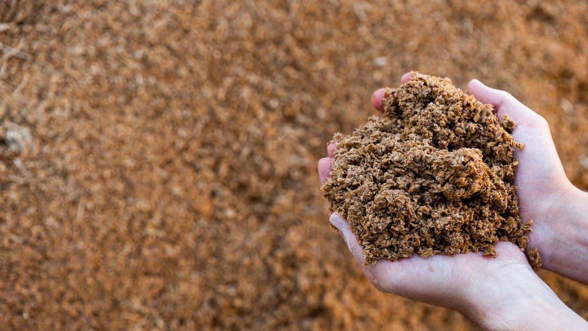 Poner el digestato a “dieta”, posible solución para el residuo ambiental que trae de cabeza a las plantas de biogás