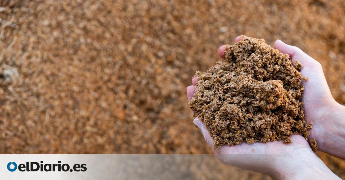 Poner el digestato a “dieta”, posible solución para el residuo ambiental que trae de cabeza a las plantas de biogás