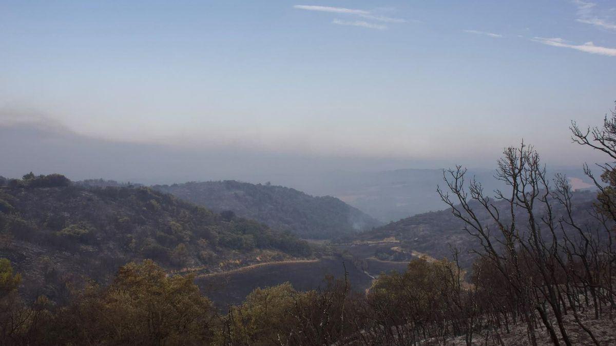 Paisaje quemado por el incendio en las Cinco Villas