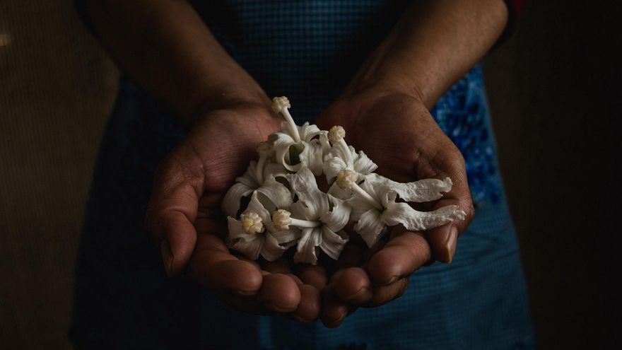 Una tejatera sostiene flores silvestres.