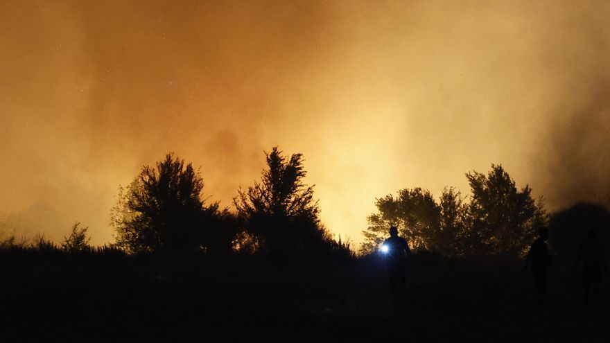 ¿Cómo se castigan los incendios provocados? Hasta 20 años si hay peligro para la vida