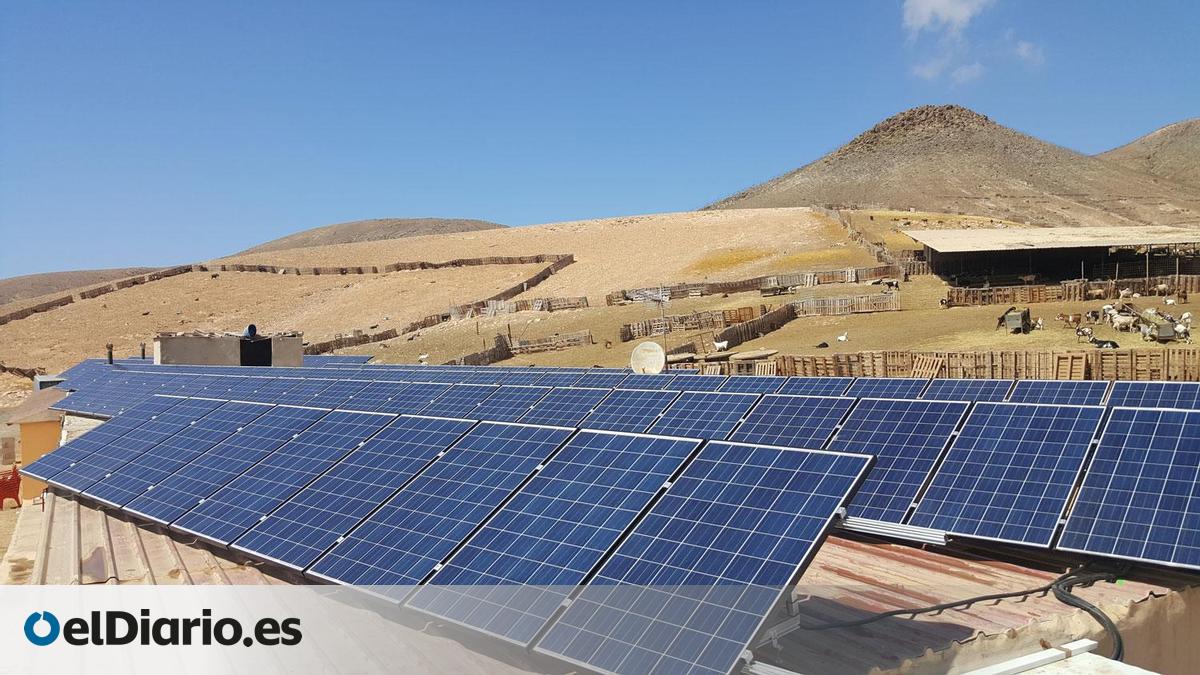 A cheese factory in Fuerteventura inaugurates the largest photovoltaic plant in the Canary Islands.