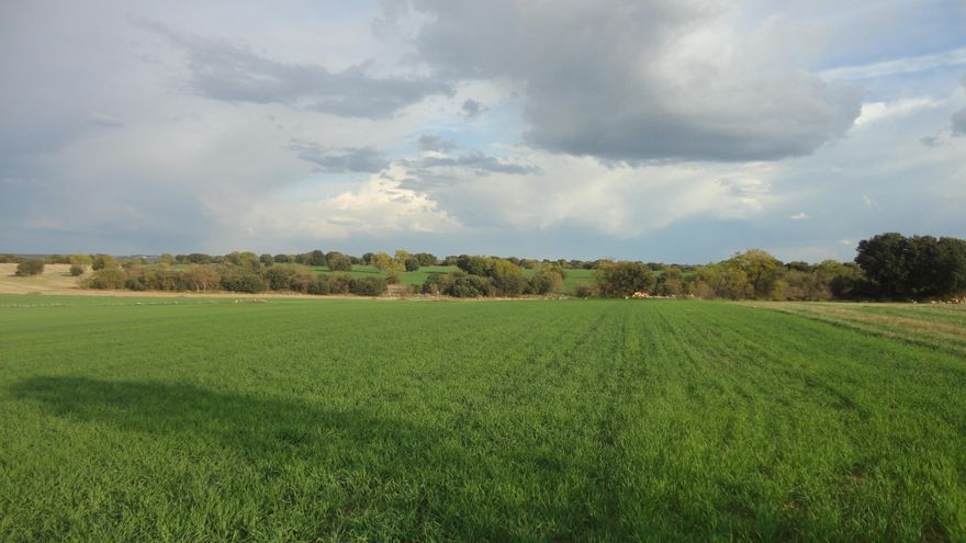 El proyecto de una planta de biogás en "el límite" de un valle protegido de la Alcarria que tiene a vecinos y alcaldes en contra