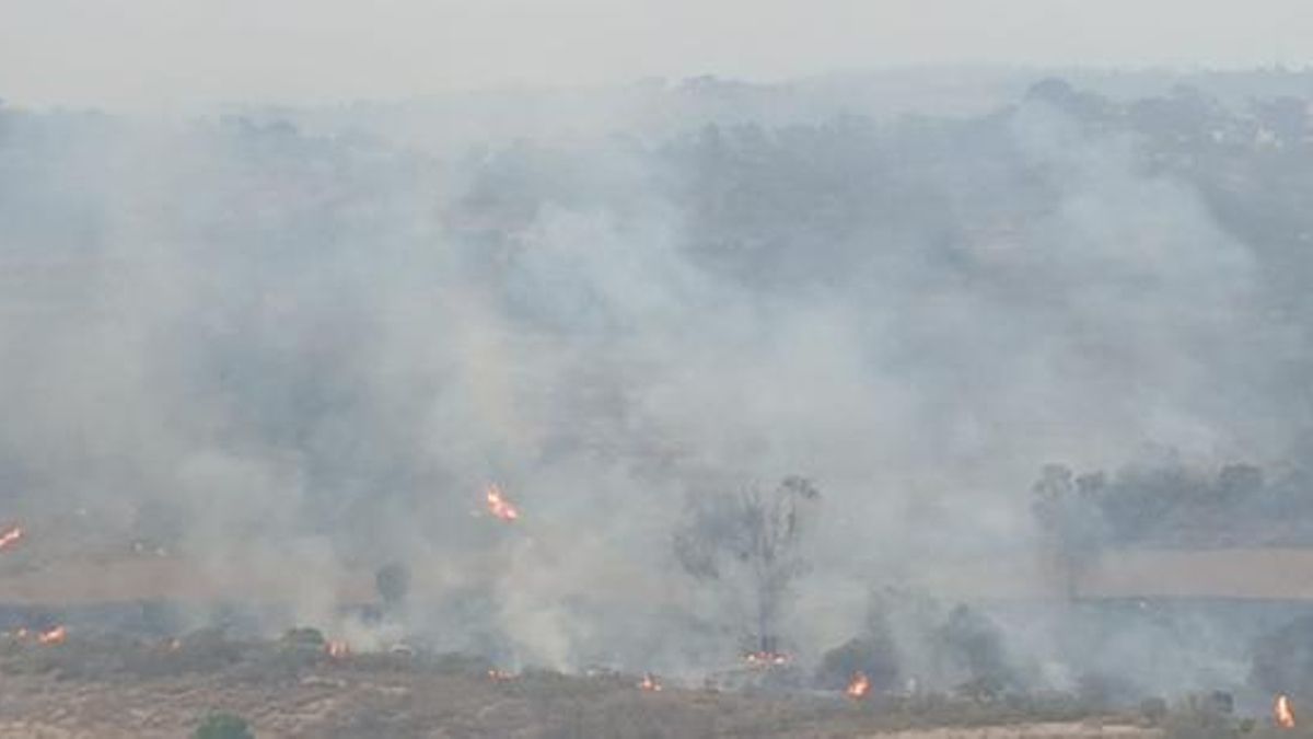 El incendio forestal se declaró durante la noche del martes.