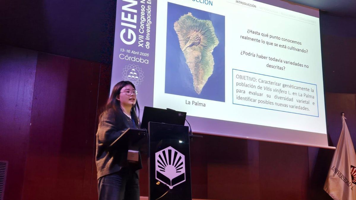 Las nuevas variedades de vid descubiertas en La Palma, presentes en el XVII Congreso Nacional de Investigación Enológica