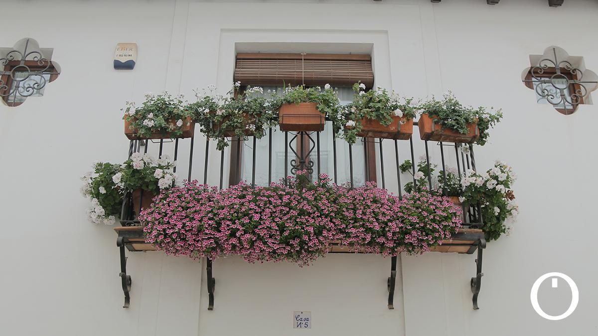 Rejas y Balcones en la C/ Postrera, 5