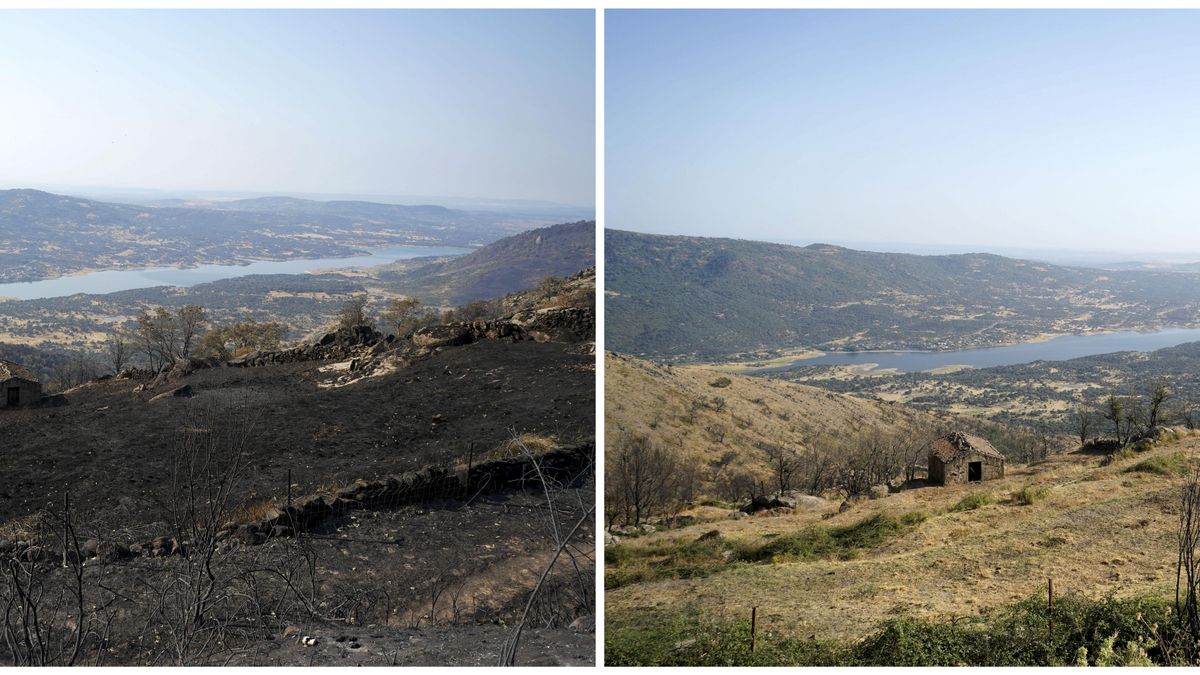 El antes y el después del incendio de Jarilla del año pasado. EFE/Eduardo Palomo