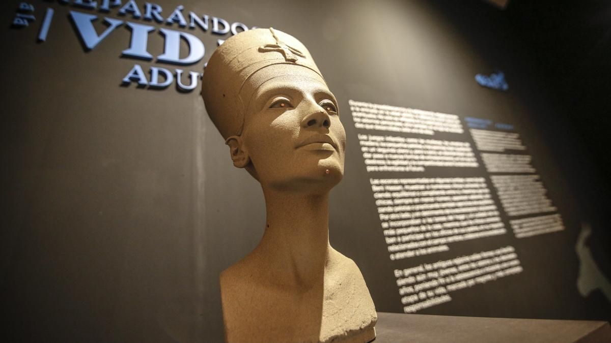 Inauguración de la exposición El despertar a la vida. Infancia y adolescencia en el Antiguo Egipto