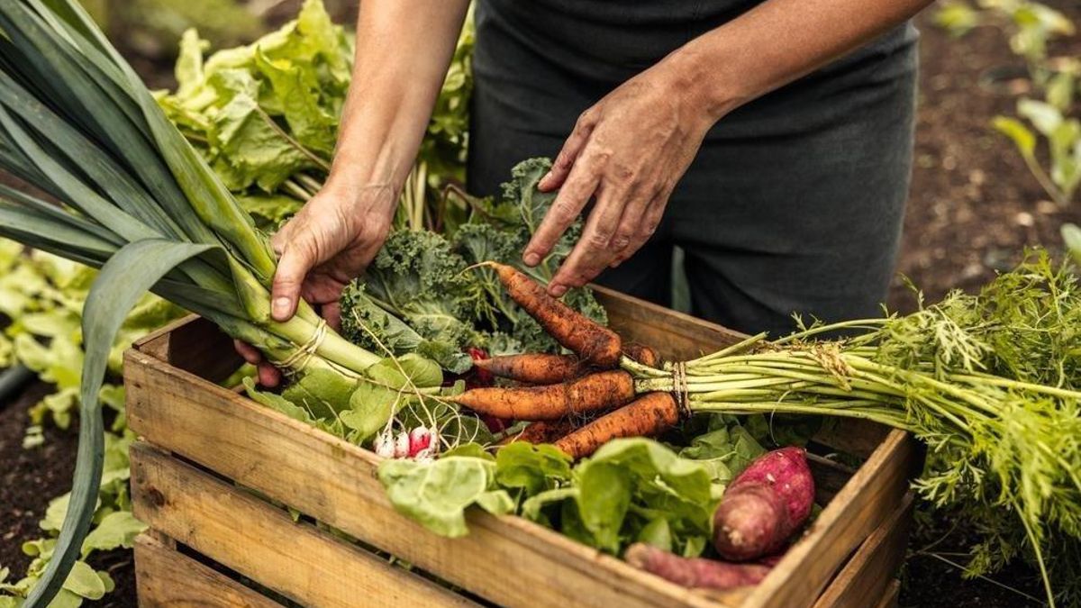 La oferta académica del ceiA3 asciende a 246 titulaciones aplicables en el ámbito de la agroalimentación