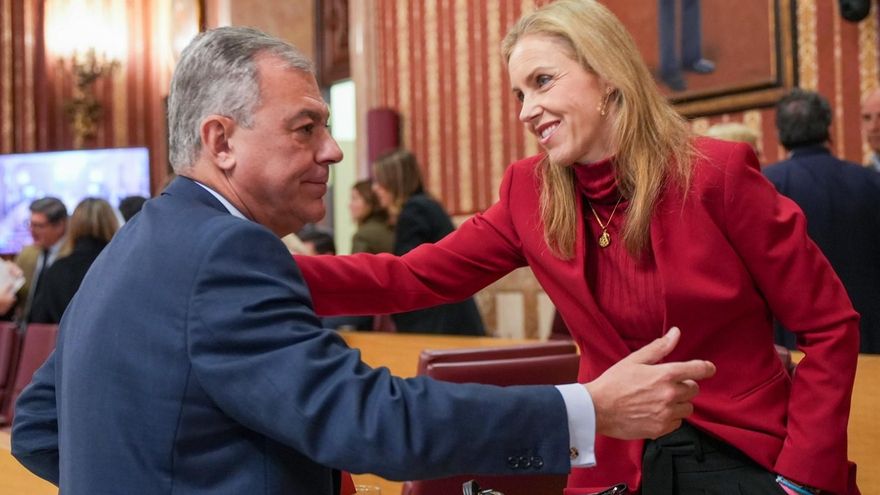 Vox desafía al PP en el Ayuntamiento de Sevilla con su prioridad nacional como aperitivo a negociar su apoyo a Moreno