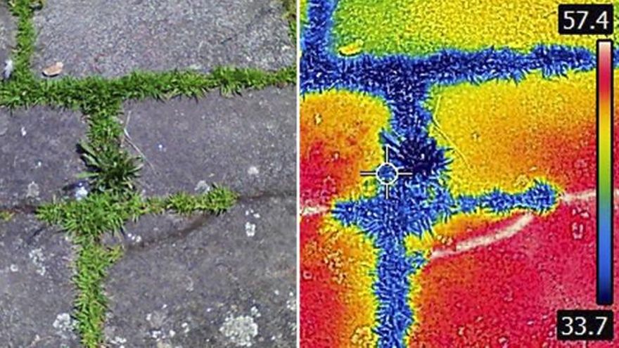 Santiago estudia el uso de hierba en el enlosado para controlar la temperatura e incidir sobre el clima urbano