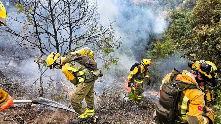 Madrid forest firefighters resume strike without any progress in negotiations with Ayuso government