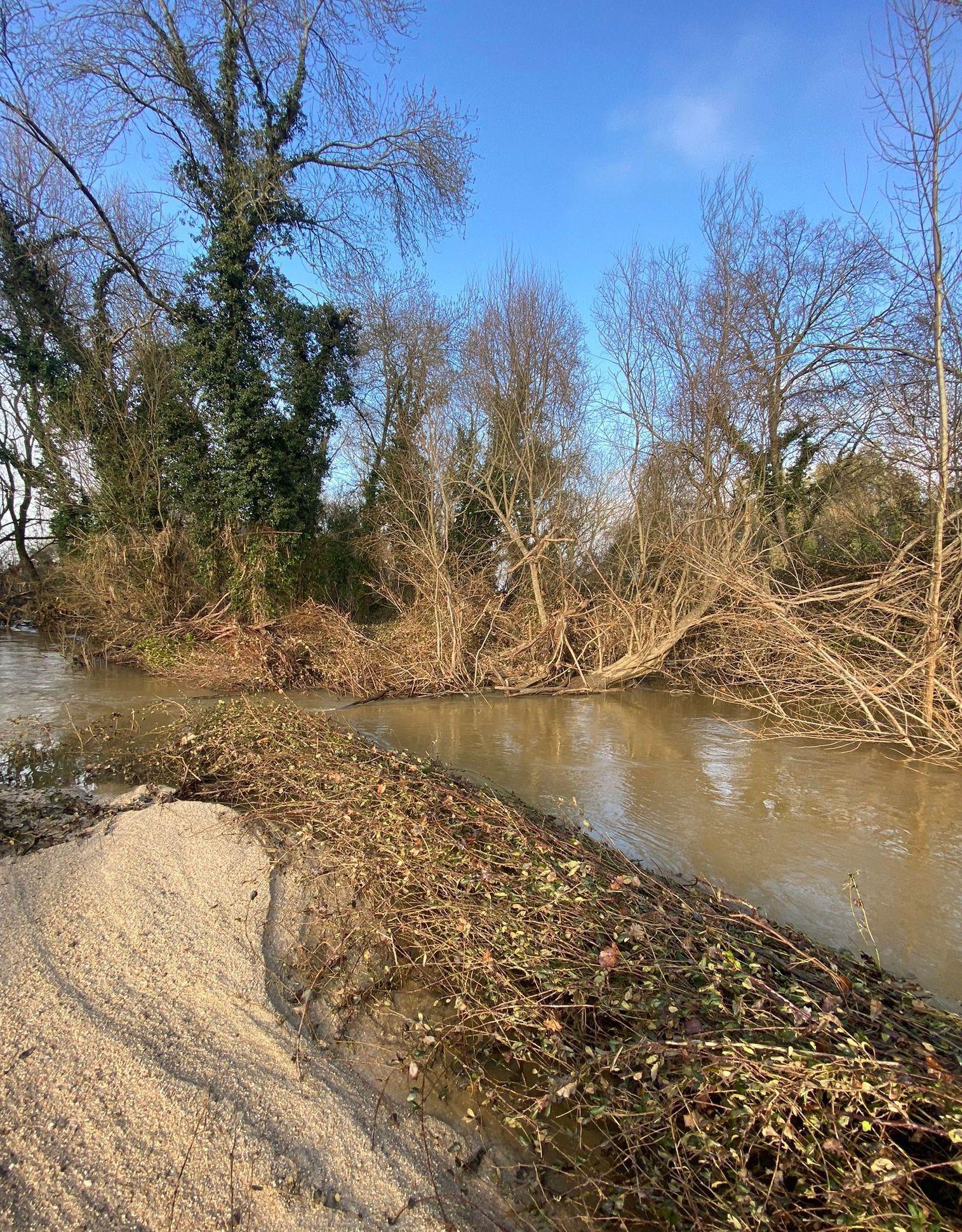 Estado de los cauces