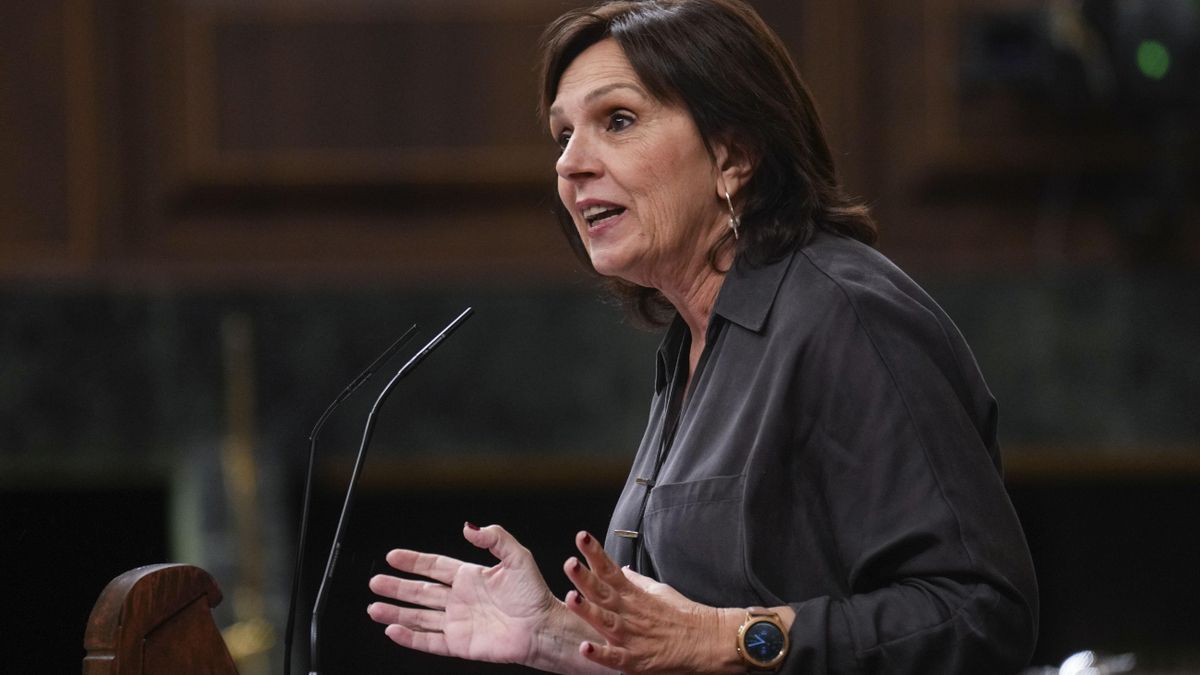 La diputada del PSOE Carmen Martínez interviene en un pleno en el Congreso de los Diputados en una imagen de archivo.