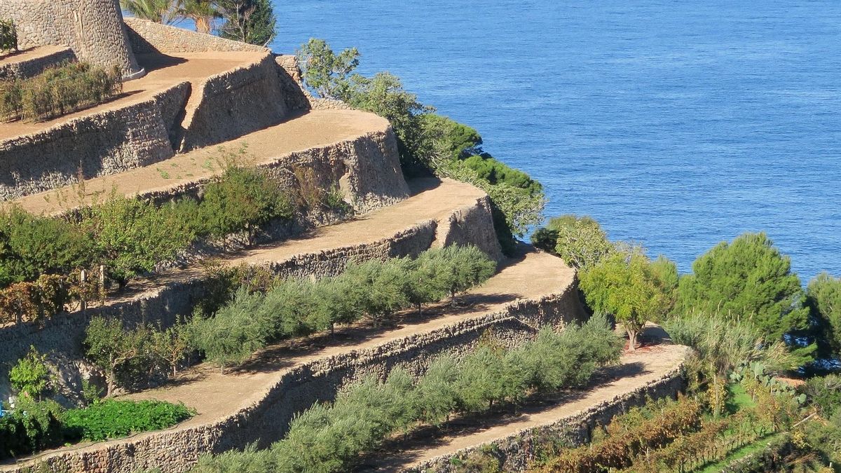 Los característicos bancales de la Serra de Tramuntana.Imagen de archivo/ Europa Press