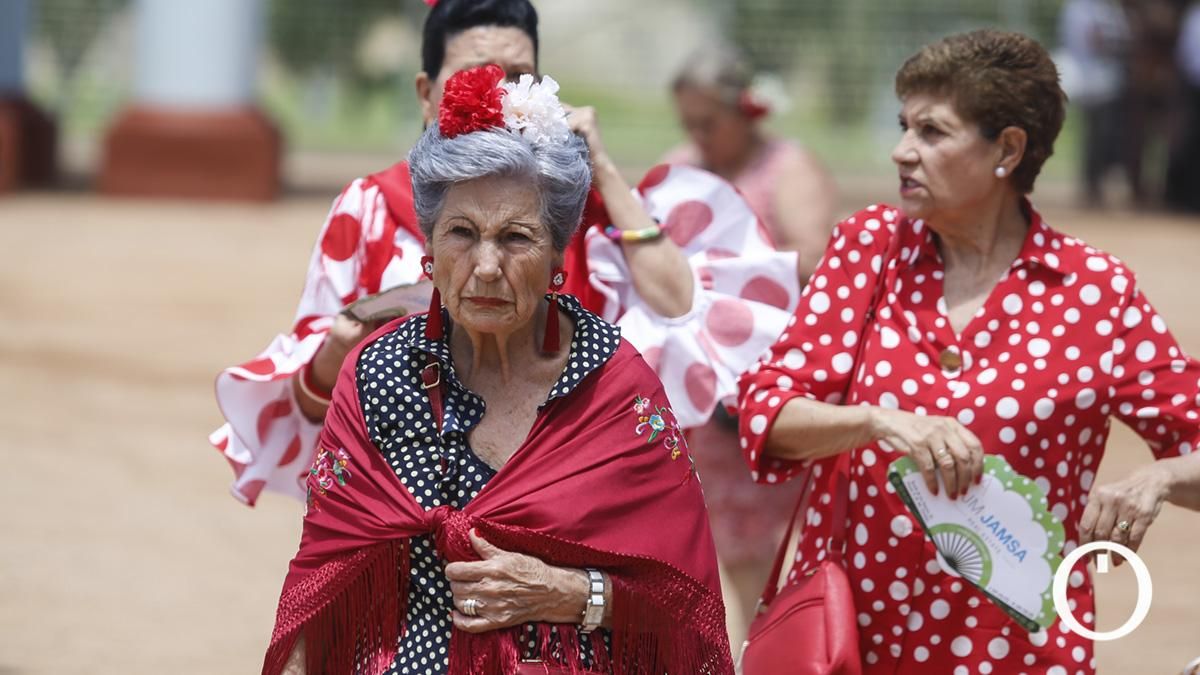 Miércoles de Feria en el Arenal