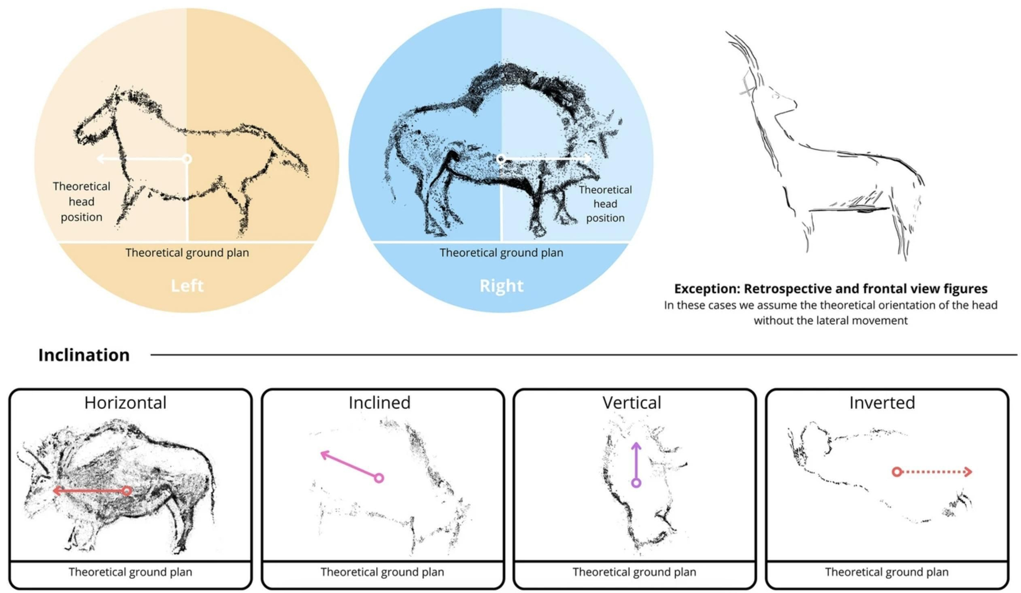 Orientación de las pinturas rupestres según el animal que representan