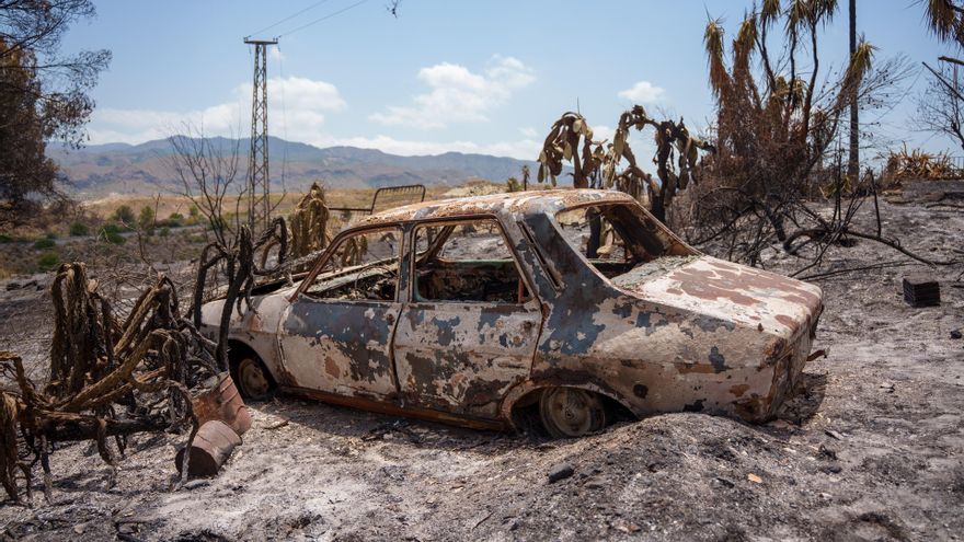 Imágenes de la zona afectada por el incendio de Los Gallardos. A 12 de julio de 2026 en Los Gallardos, Almería