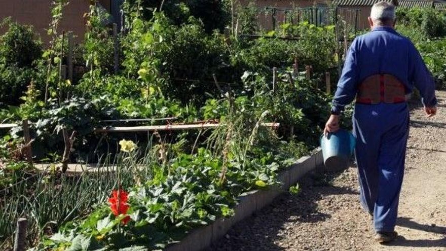 Los huertos que se quedan sin agua por los regadíos modernos de la centenaria Presa de la Tierra del Órbigo en León