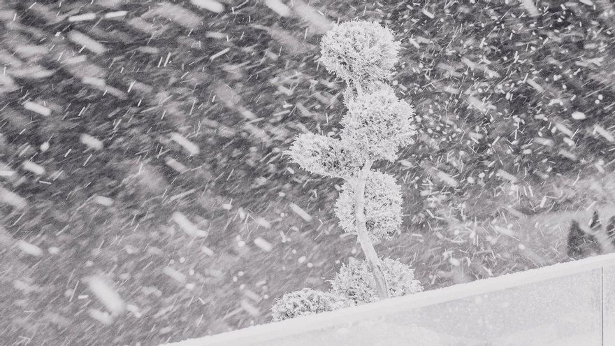 Alerta por nevadas en la cumbre