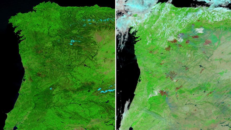 Imagen de las zonas afectadas en infrarrojo desde el satélite en marzo de 2025 (izquierda) y tras los incendios (agosto).