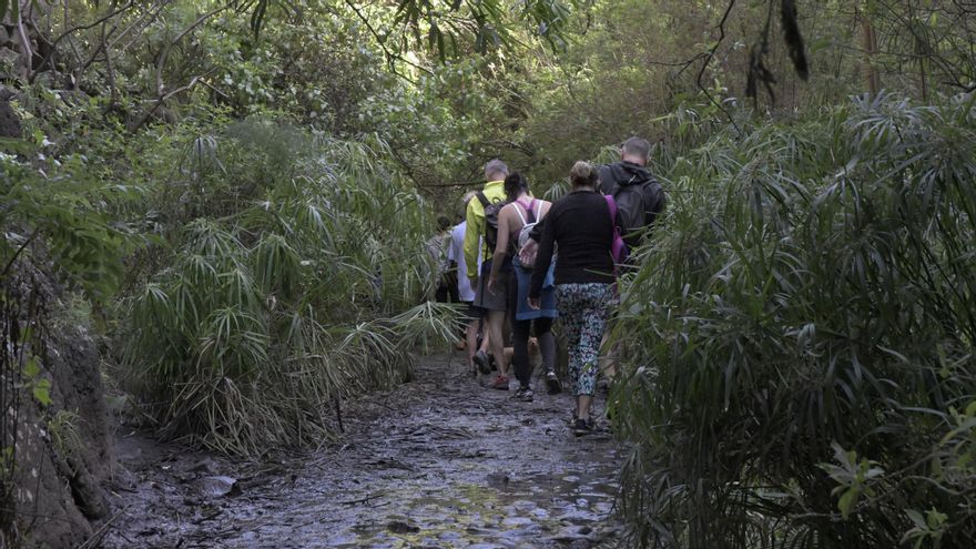 Fila de personas en el barranco de Azuaje.