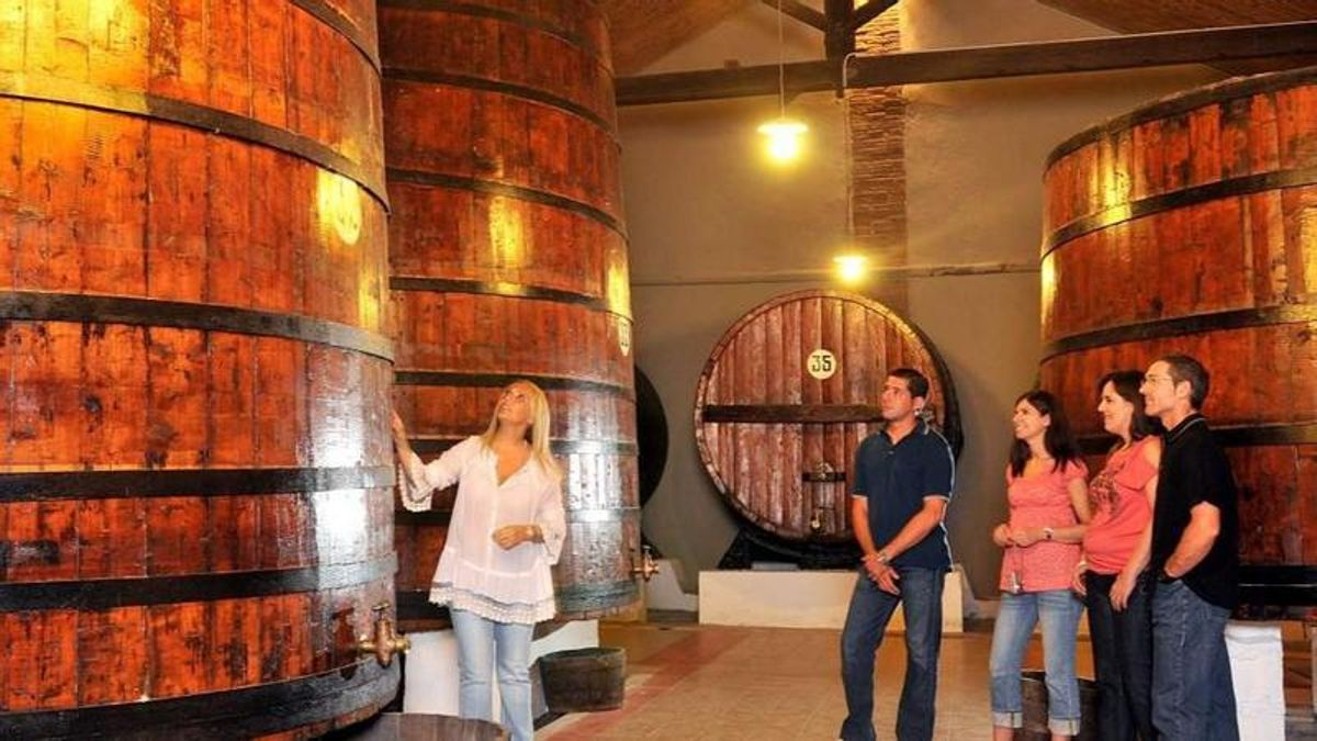 La DO Somontano propone tres eventos en Zaragoza para disfrutar de sus vinos en septiembre y octubre