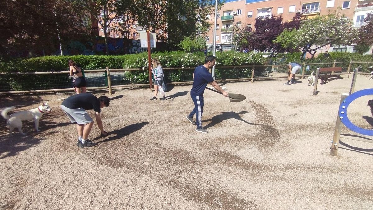 Nace el Día del perro en Tetuán: ayuda mutua y denuncia del “agujero negro del mantenimiento" en las áreas caninas