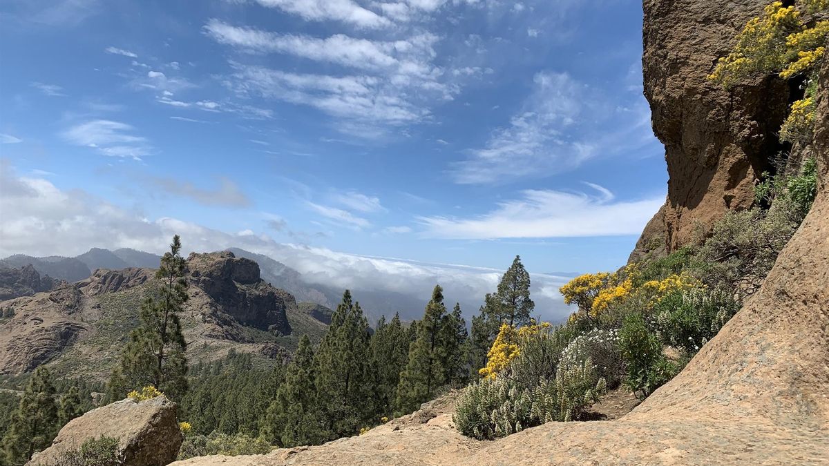 La consulta pública del anteproyecto de la Ley de Montes permanecerá abierta hasta el 26 de enero