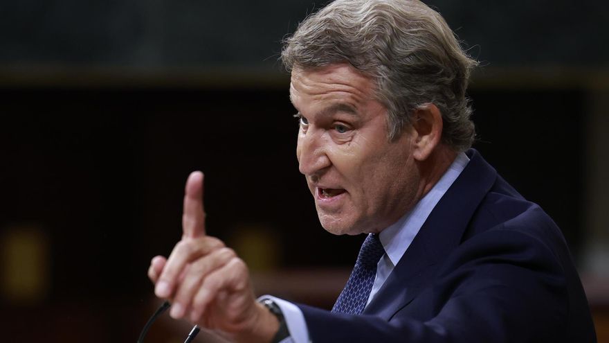 El líder del PP, Alberto Núñez Feijóo, durante su intervención este jueves en el pleno extraordinario.
