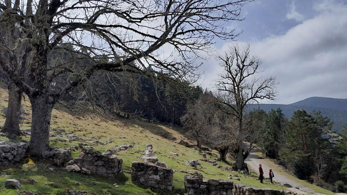 Tres planes para el puente para disfrutar de la Sierra de Cebollera