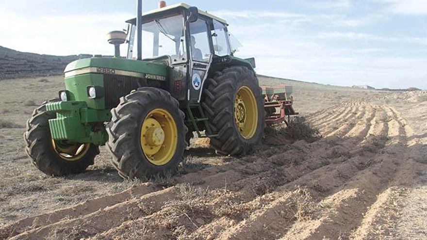 Foto: Felipe de la Cruz.