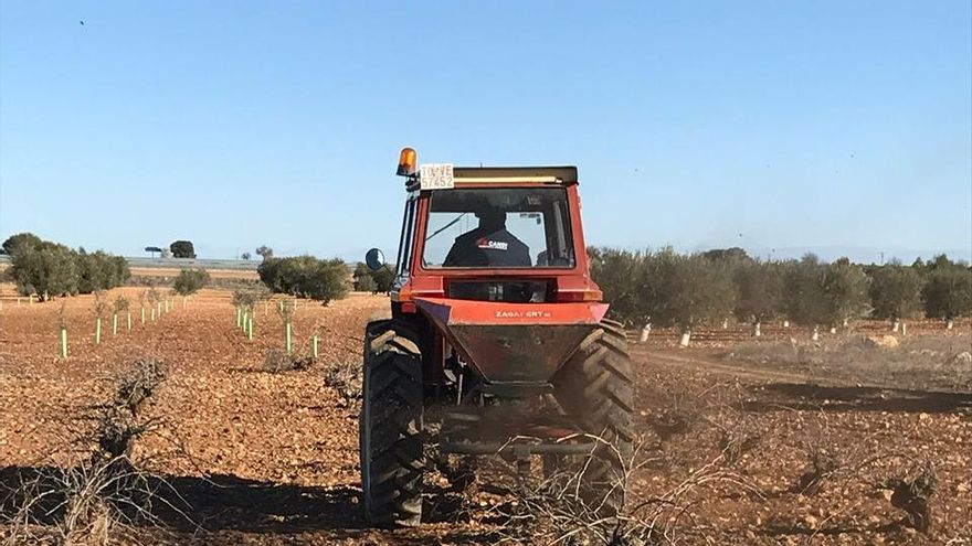 Un viticultor manchego: “No quiero ayudas, págame bien el kilo de uvas y no te preocupes de más"