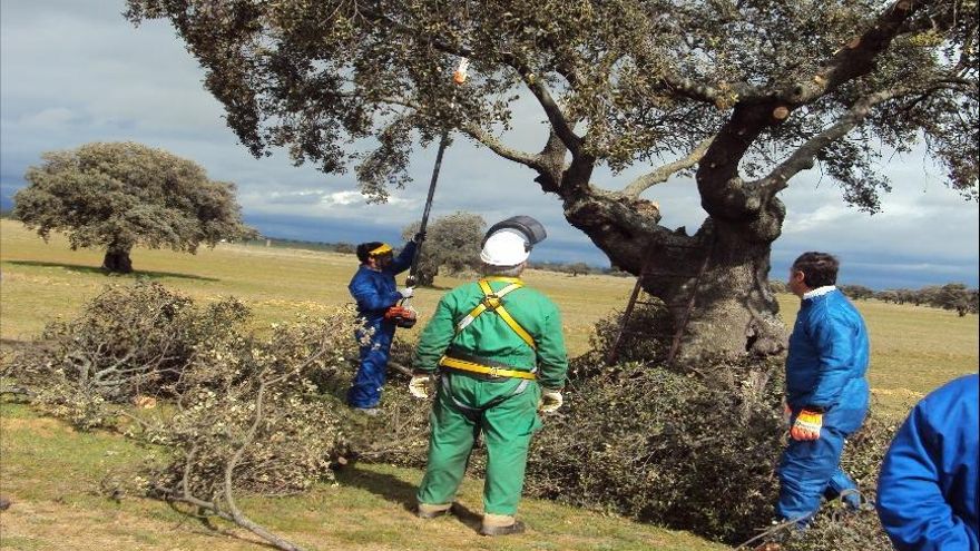 Necesitamos llenar de savia nueva la agricultura española