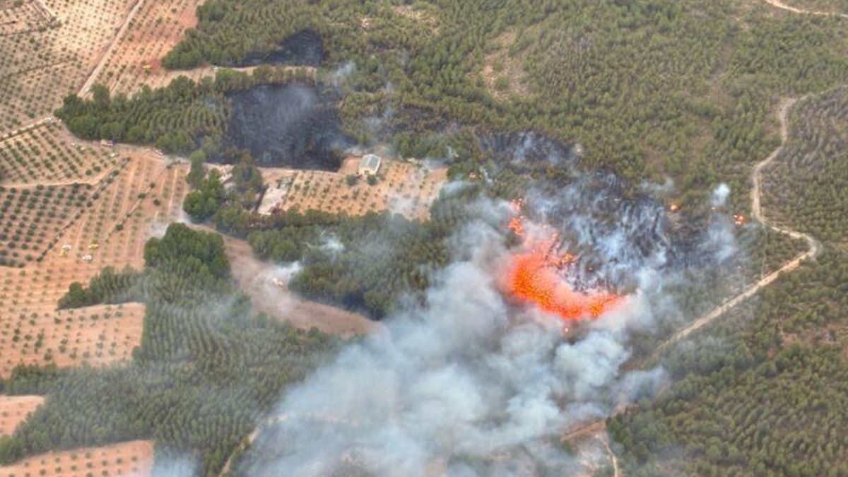 Fotografía realizada desde los helicópteros de la Dirección General de Seguridad Ciudadana y Emergencias durante los incendios de este lunes en la Región de Murcia