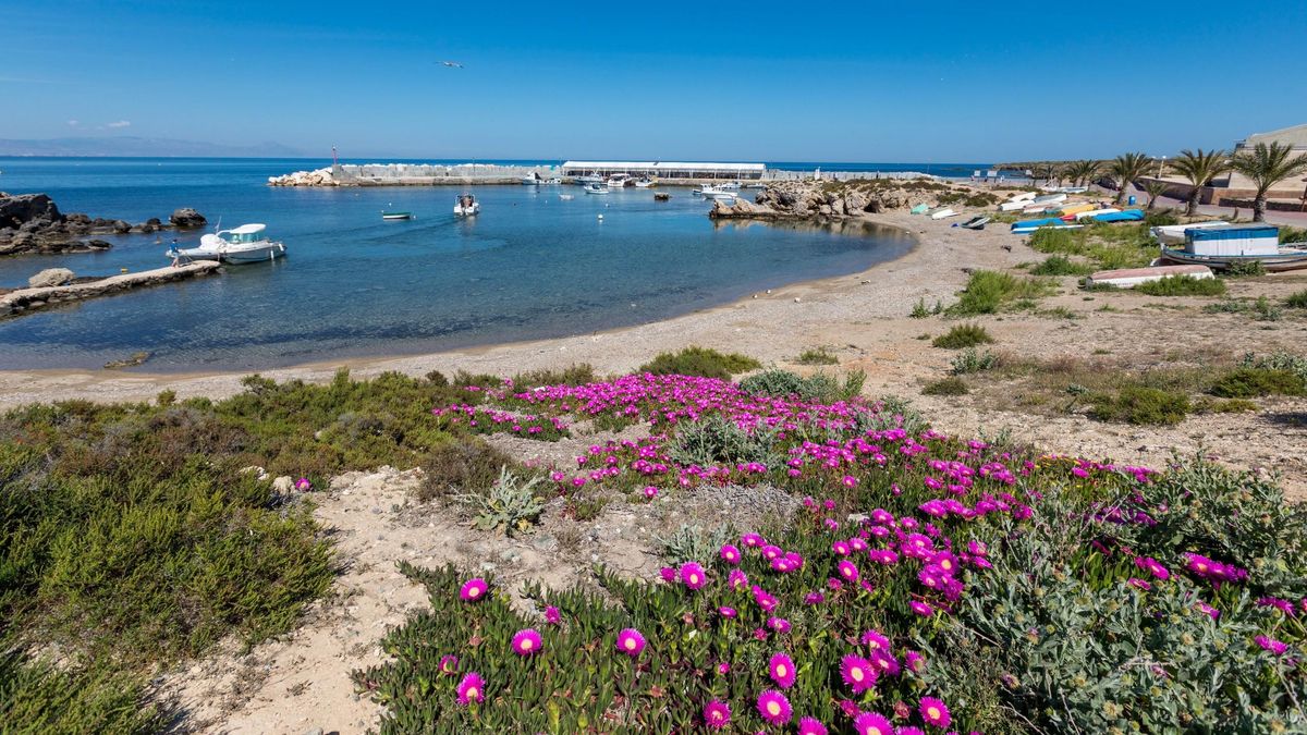 El puerto de Tabarca.
