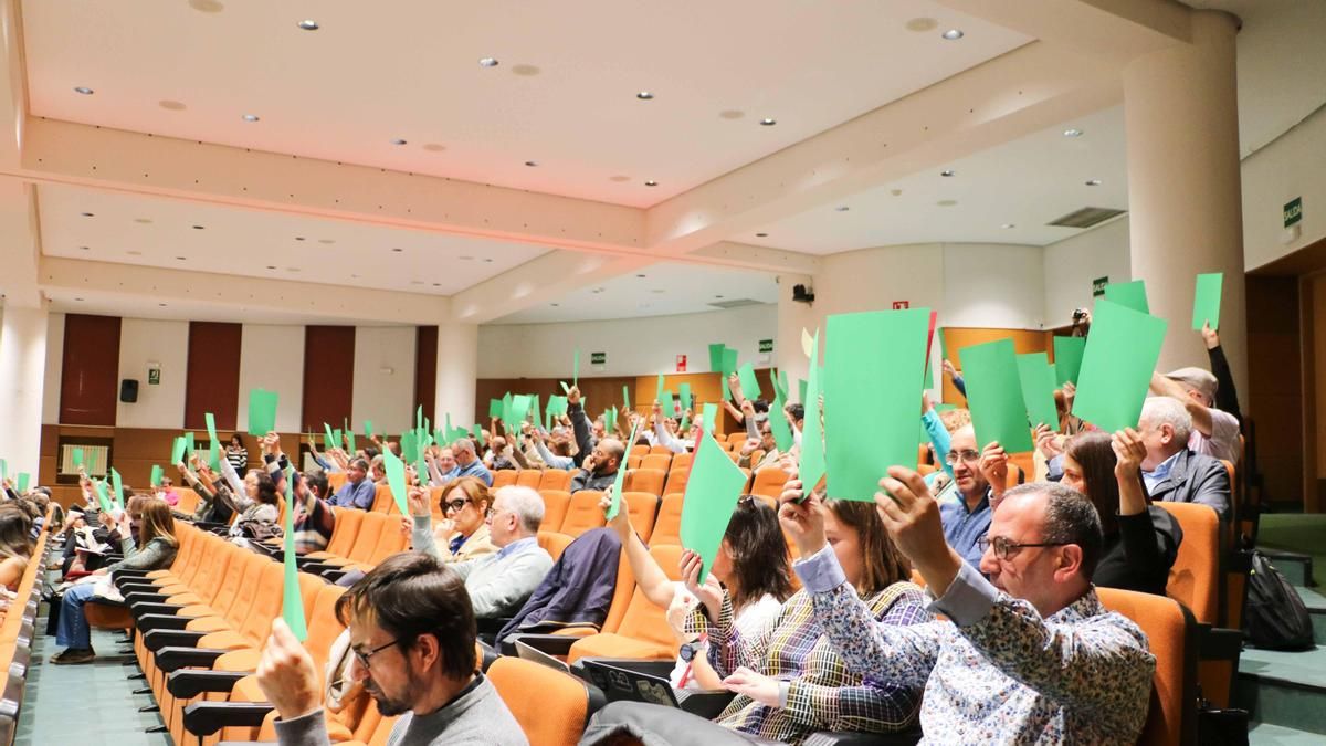 La Universidad de León aprueba sus nuevos Estatutos para adaptarse al marco legal sobre la bocina