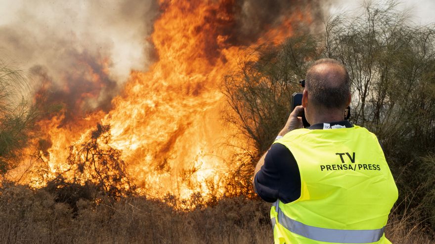 Controlado el incendio declarado en la zona de La Rábida, en Palos (Huelva)