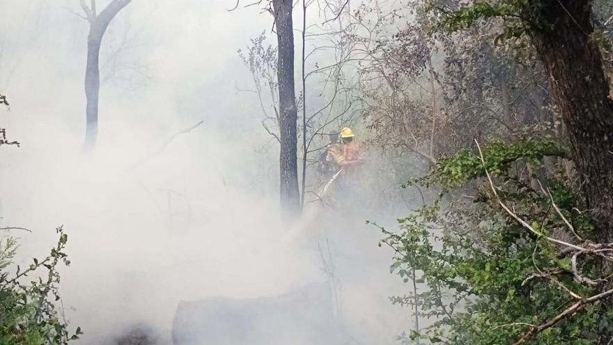Parques Nacionales en llamas: trabajadores sin contrato y un sistema de conservación en estado crítico