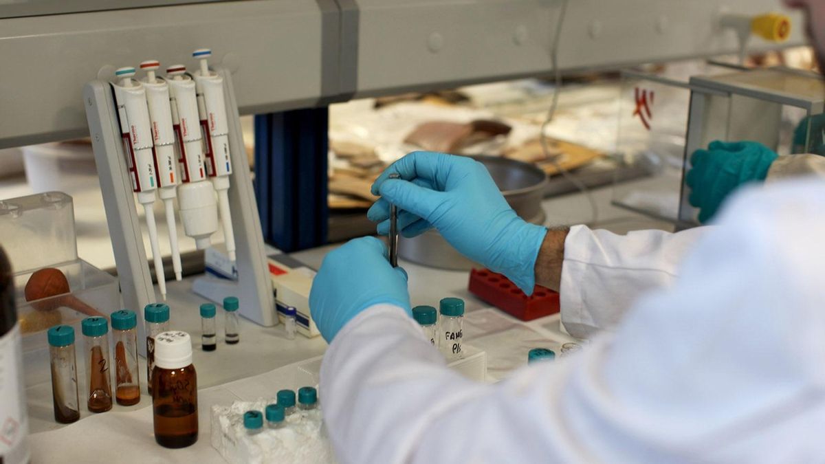El Instituto de Investigación y Desarrollo Agroalimentario de Castilla-La Mancha convoca plazas en varias especialidades