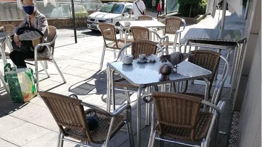 Una terraza 'amenazada' por palomas, imagen cada vez más habitual. / Foto César Sánchez / ICAL