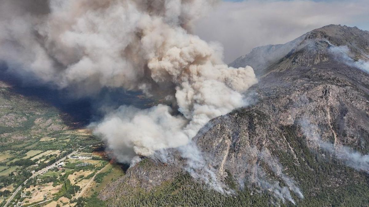 Los incendios registrados en la Patagonia argentina este año han sido de los peores en décadas. Foto: cortesía Mariano Sylvester