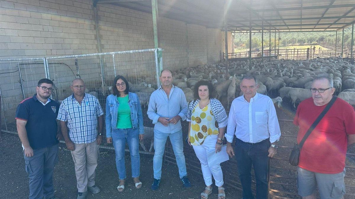 IU pide ayudas a la Junta contra el mildiu y la lengua azul, mientras PP y Vox se las reclaman al Gobierno de España